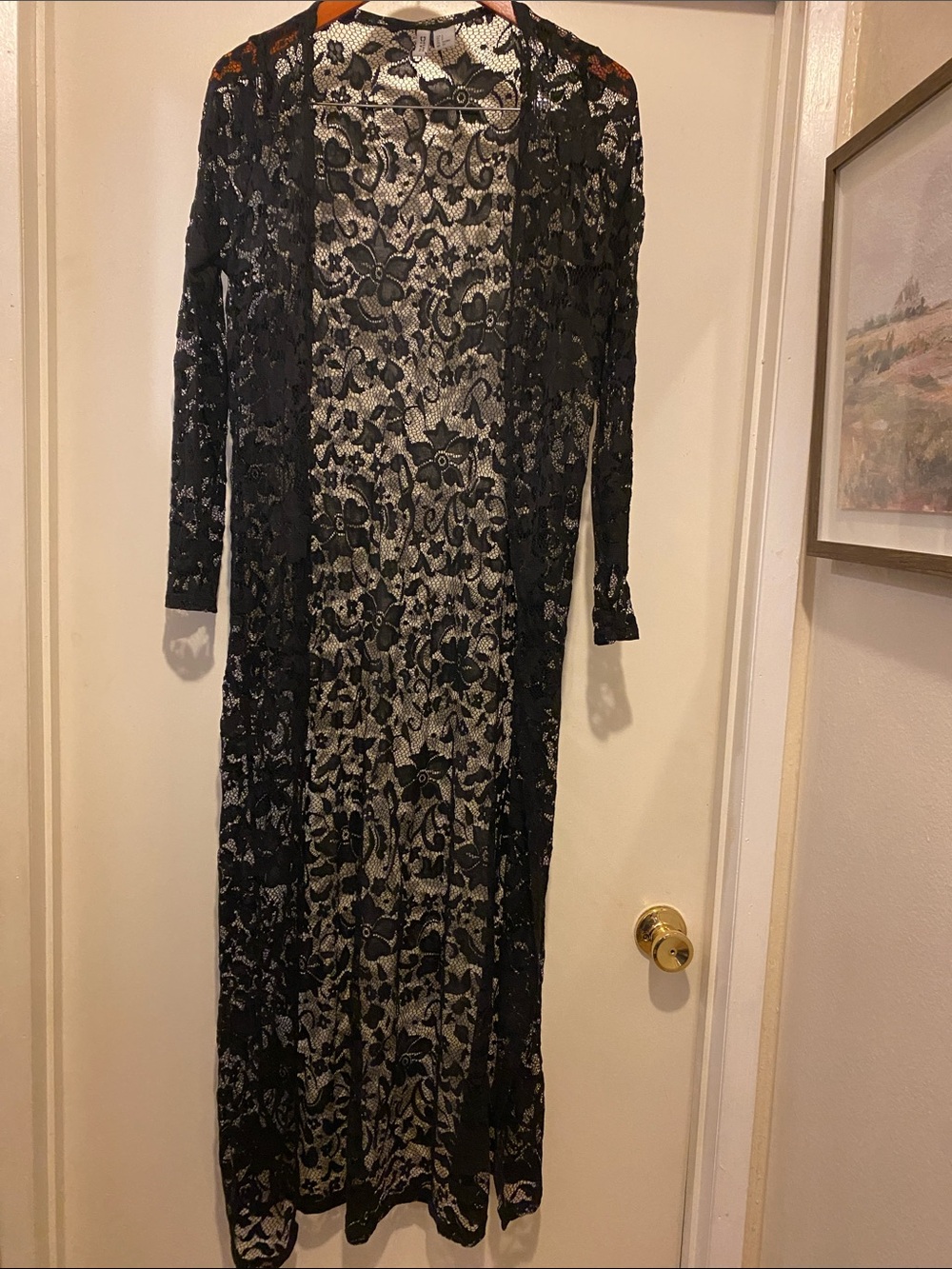 Divided Black Lace Long-Sleeve Maxi Overlay